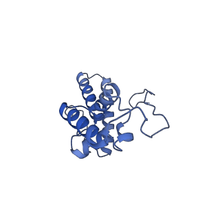 32807_7wu0_N_v1-2
Cryo-EM structure of a human pre-40S ribosomal subunit - State RRP12-B3