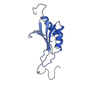32807_7wu0_O_v1-2
Cryo-EM structure of a human pre-40S ribosomal subunit - State RRP12-B3