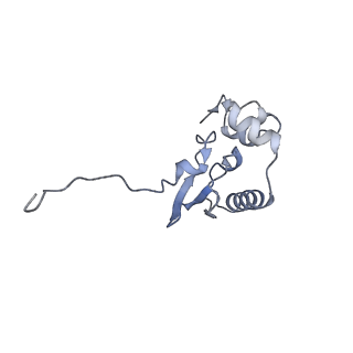 32807_7wu0_P_v1-2
Cryo-EM structure of a human pre-40S ribosomal subunit - State RRP12-B3