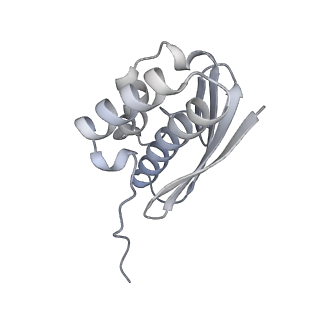 32807_7wu0_Q_v1-2
Cryo-EM structure of a human pre-40S ribosomal subunit - State RRP12-B3