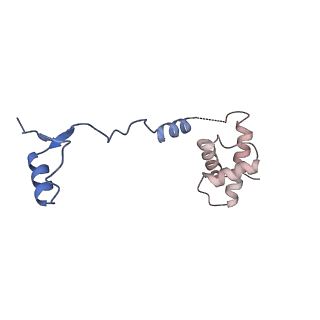 32807_7wu0_R_v1-2
Cryo-EM structure of a human pre-40S ribosomal subunit - State RRP12-B3