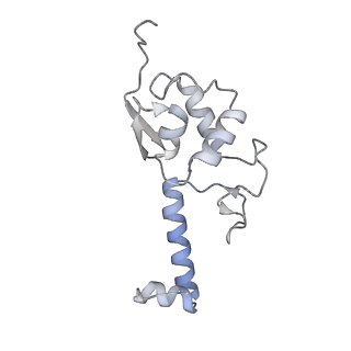 32807_7wu0_S_v1-2
Cryo-EM structure of a human pre-40S ribosomal subunit - State RRP12-B3