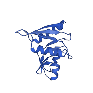 32807_7wu0_W_v1-2
Cryo-EM structure of a human pre-40S ribosomal subunit - State RRP12-B3