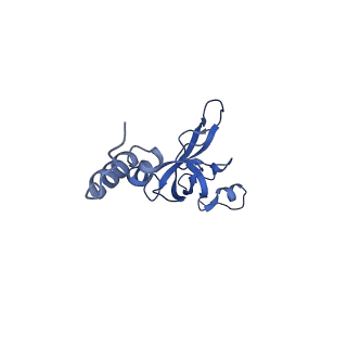 32807_7wu0_X_v1-2
Cryo-EM structure of a human pre-40S ribosomal subunit - State RRP12-B3