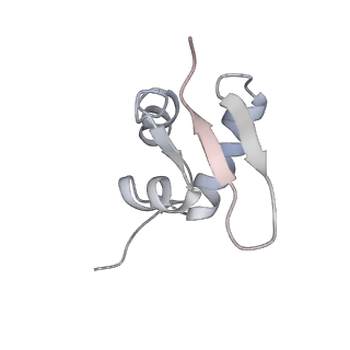 32807_7wu0_Z_v1-2
Cryo-EM structure of a human pre-40S ribosomal subunit - State RRP12-B3