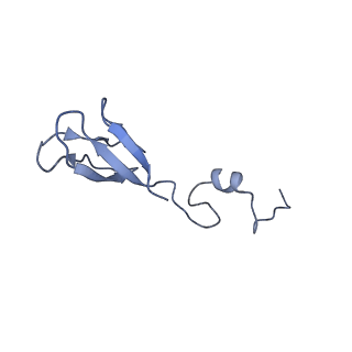32807_7wu0_b_v1-2
Cryo-EM structure of a human pre-40S ribosomal subunit - State RRP12-B3