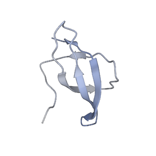 32807_7wu0_c_v1-2
Cryo-EM structure of a human pre-40S ribosomal subunit - State RRP12-B3