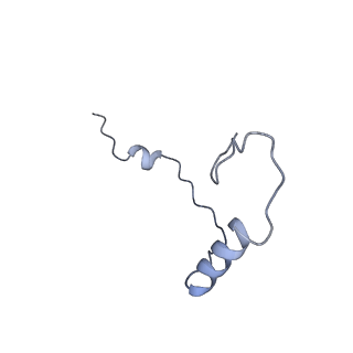 32807_7wu0_e_v1-2
Cryo-EM structure of a human pre-40S ribosomal subunit - State RRP12-B3