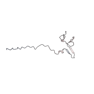 32807_7wu0_f_v1-2
Cryo-EM structure of a human pre-40S ribosomal subunit - State RRP12-B3