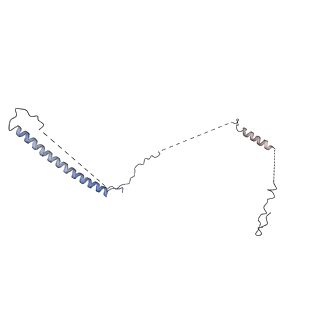 32807_7wu0_t_v1-2
Cryo-EM structure of a human pre-40S ribosomal subunit - State RRP12-B3