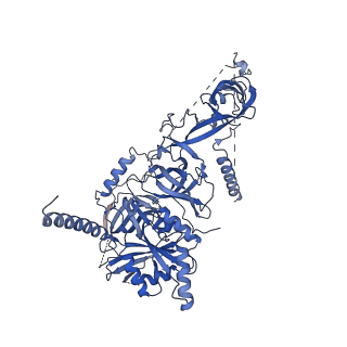 32807_7wu0_u_v1-2
Cryo-EM structure of a human pre-40S ribosomal subunit - State RRP12-B3
