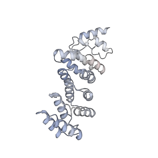 32807_7wu0_w_v1-2
Cryo-EM structure of a human pre-40S ribosomal subunit - State RRP12-B3
