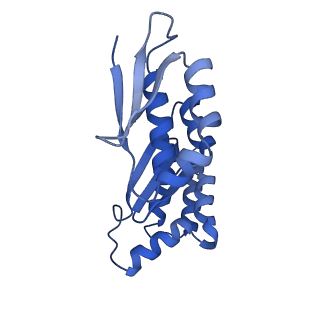 32807_7wu0_x_v1-2
Cryo-EM structure of a human pre-40S ribosomal subunit - State RRP12-B3