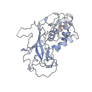 32807_7wu0_y_v1-2
Cryo-EM structure of a human pre-40S ribosomal subunit - State RRP12-B3