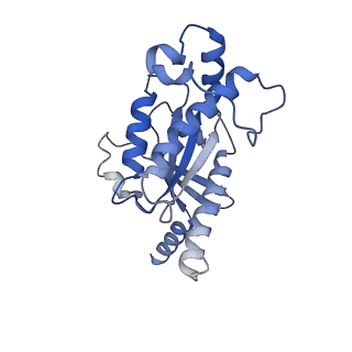 32817_7wu2_A_v1-2
Cryo-EM structure of the adhesion GPCR ADGRD1 in complex with miniGs