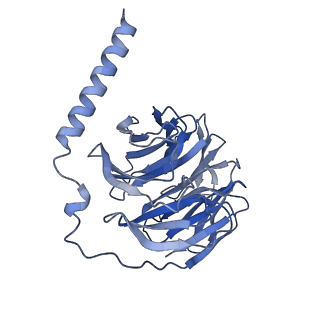 32817_7wu2_B_v1-2
Cryo-EM structure of the adhesion GPCR ADGRD1 in complex with miniGs
