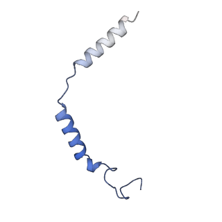 32817_7wu2_C_v1-2
Cryo-EM structure of the adhesion GPCR ADGRD1 in complex with miniGs