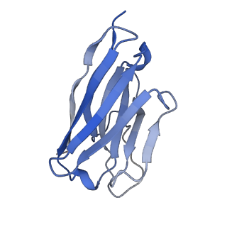 32817_7wu2_N_v1-2
Cryo-EM structure of the adhesion GPCR ADGRD1 in complex with miniGs