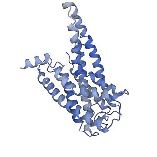 32817_7wu2_R_v1-2
Cryo-EM structure of the adhesion GPCR ADGRD1 in complex with miniGs