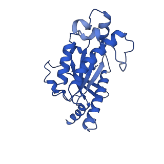 32818_7wu3_A_v1-1
Cryo-EM structure of the adhesion GPCR ADGRF1 in complex with miniGs