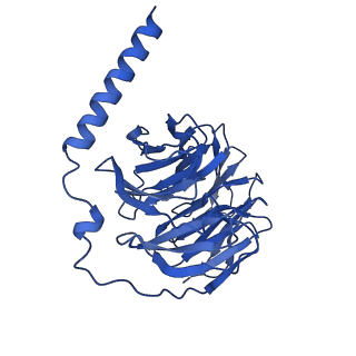 32818_7wu3_B_v1-1
Cryo-EM structure of the adhesion GPCR ADGRF1 in complex with miniGs