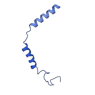32818_7wu3_C_v1-1
Cryo-EM structure of the adhesion GPCR ADGRF1 in complex with miniGs