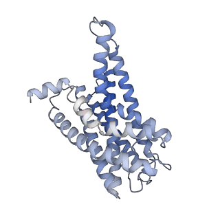 32818_7wu3_R_v1-1
Cryo-EM structure of the adhesion GPCR ADGRF1 in complex with miniGs