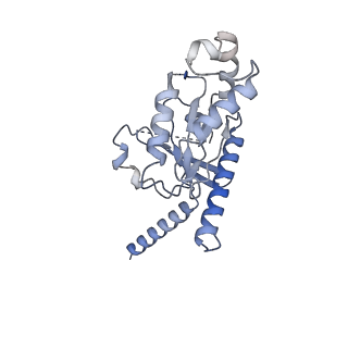 32819_7wu4_A_v1-1
Cryo-EM structure of the adhesion GPCR ADGRF1 in complex with miniGi