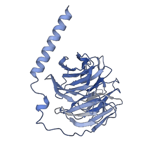 32819_7wu4_B_v1-1
Cryo-EM structure of the adhesion GPCR ADGRF1 in complex with miniGi
