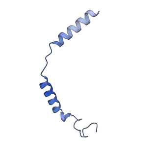 32819_7wu4_C_v1-1
Cryo-EM structure of the adhesion GPCR ADGRF1 in complex with miniGi
