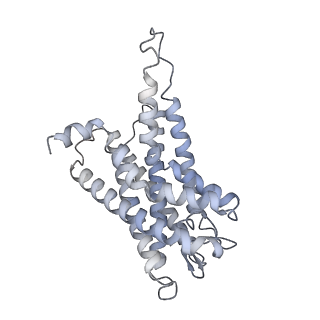 32819_7wu4_R_v1-1
Cryo-EM structure of the adhesion GPCR ADGRF1 in complex with miniGi