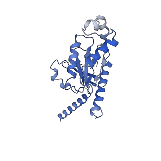 32820_7wu5_A_v1-1
Cryo-EM structure of the adhesion GPCR ADGRF1(H565A/T567A) in complex with miniGi