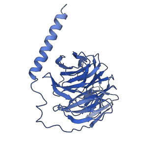 32820_7wu5_B_v1-1
Cryo-EM structure of the adhesion GPCR ADGRF1(H565A/T567A) in complex with miniGi