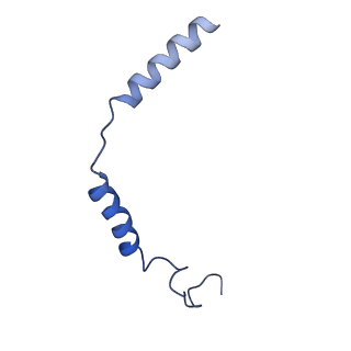 32820_7wu5_C_v1-1
Cryo-EM structure of the adhesion GPCR ADGRF1(H565A/T567A) in complex with miniGi