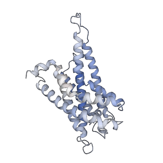 32820_7wu5_R_v1-1
Cryo-EM structure of the adhesion GPCR ADGRF1(H565A/T567A) in complex with miniGi