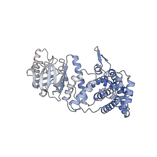 32823_7wu7_D_v1-0
Prefoldin-tubulin-TRiC complex