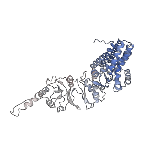 32823_7wu7_G_v1-0
Prefoldin-tubulin-TRiC complex