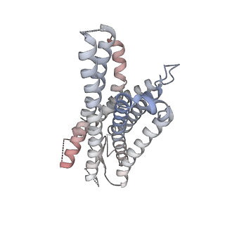 32824_7wu9_R_v1-3
Cryo-EM structure of the human EP3-Gi signaling complex
