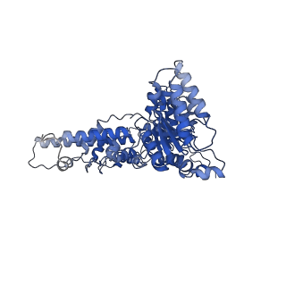 32827_7wub_A_v1-0
Cryo-EM structure of dodecamer P97