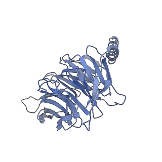 32836_7wui_B_v1-1
Tethered peptide activation mechanism of adhesion GPCRs ADGRG2 and ADGRG4
