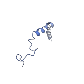 32836_7wui_G_v1-1
Tethered peptide activation mechanism of adhesion GPCRs ADGRG2 and ADGRG4