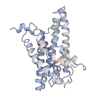 32837_7wuj_E_v1-1
Tethered peptide activation mechanism of adhesion GPCRs ADGRG2 and ADGRG4
