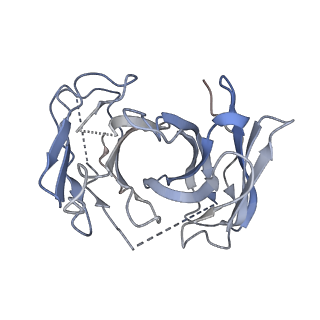 32837_7wuj_S_v1-1
Tethered peptide activation mechanism of adhesion GPCRs ADGRG2 and ADGRG4