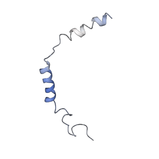 32837_7wuj_Y_v1-1
Tethered peptide activation mechanism of adhesion GPCRs ADGRG2 and ADGRG4