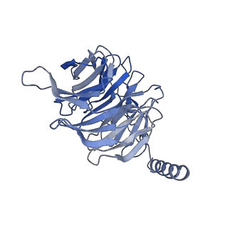 32838_7wuq_B_v1-1
Tethered peptide activation mechanism of adhesion GPCRs ADGRG2 and ADGRG4