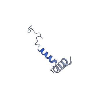 32838_7wuq_G_v1-1
Tethered peptide activation mechanism of adhesion GPCRs ADGRG2 and ADGRG4