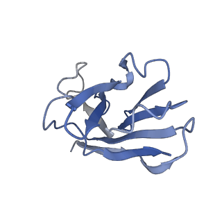 32838_7wuq_N_v1-1
Tethered peptide activation mechanism of adhesion GPCRs ADGRG2 and ADGRG4