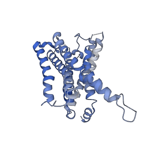 32838_7wuq_R_v1-1
Tethered peptide activation mechanism of adhesion GPCRs ADGRG2 and ADGRG4