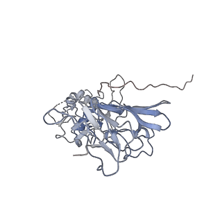 32841_7wut_A_v1-0
CryoEM structure of stable sNS1 tetramer