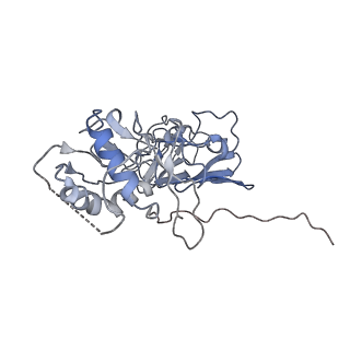 32841_7wut_B_v1-0
CryoEM structure of stable sNS1 tetramer